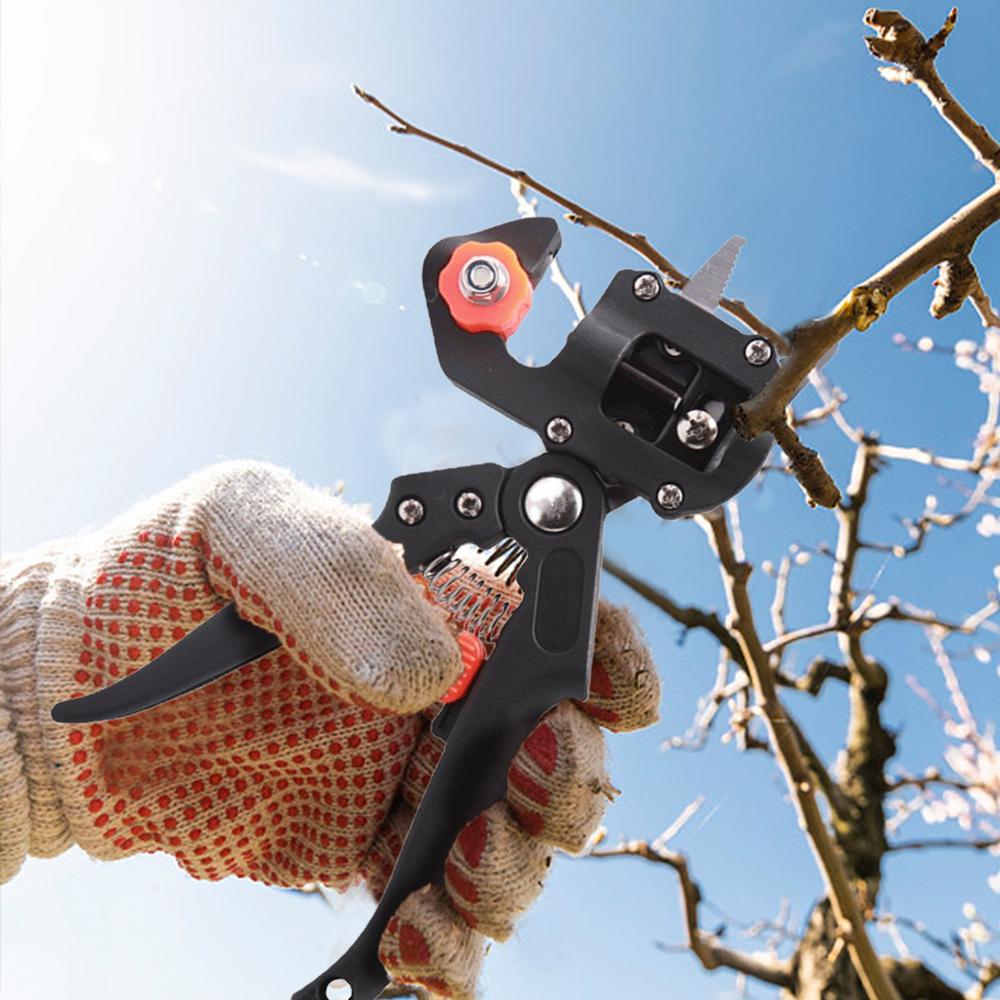 Škarje za obrezovanje in cepljenje dreves - 2 | Shopply